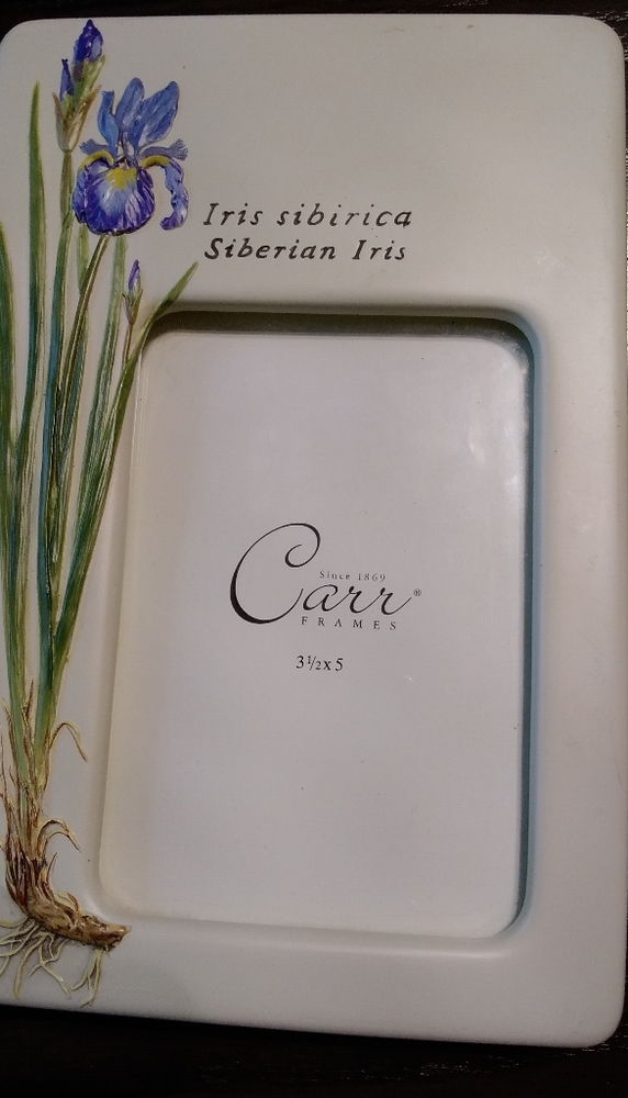 Carr Handpainted Iris Picture Frame